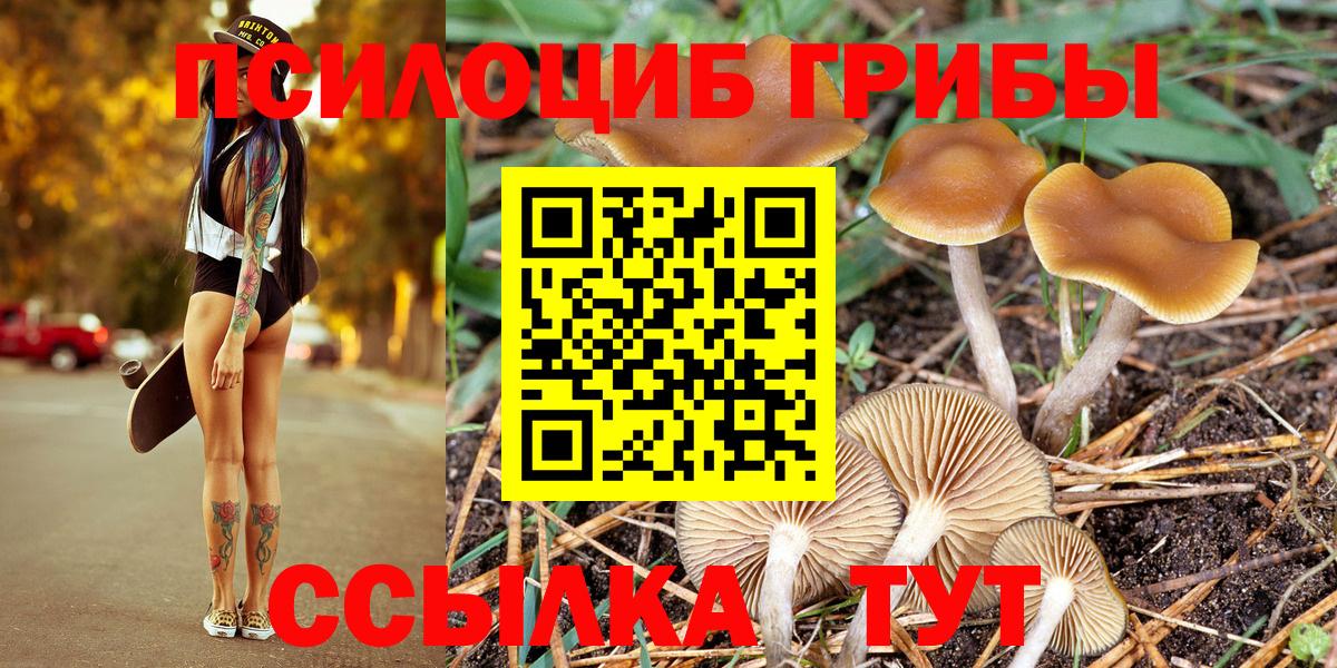 Коряжма  Галлюциногенные грибы Cubensis  Вход с VPN 
